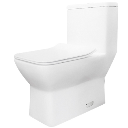 WC One Piece Ahorrador de Agua Trampa Oculta y Asiento Cierre Lento Reforzado